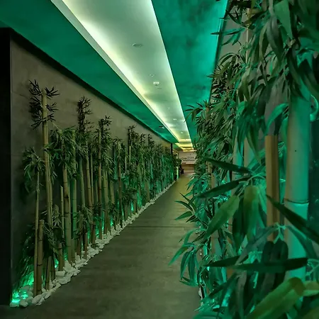Hotel Cam Thermal &