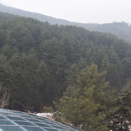 Hotel Cam Thermal & 5*