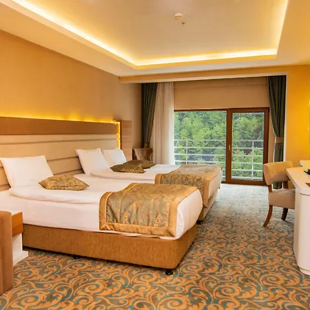 Hotel Cam Thermal & 5*