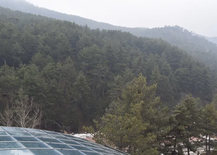 Hotel Cam Thermal & 5*